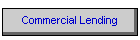 Commercial Lending