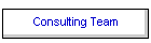 Consulting Team